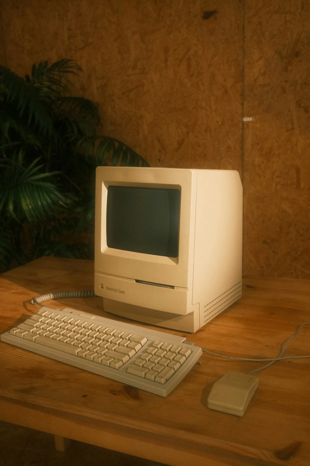 Vintage beige all-in-one computer with a box-shaped CRT screen, keyboard, and mouse on a wooden desk